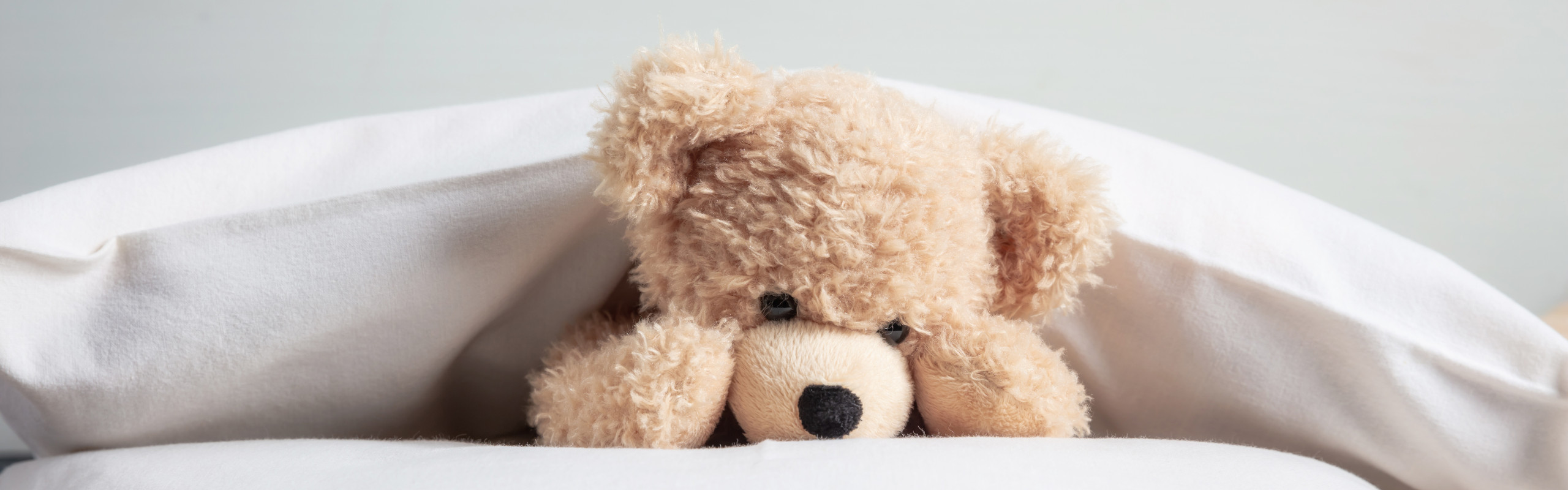 Teddy bear in a family-friendly hotel room