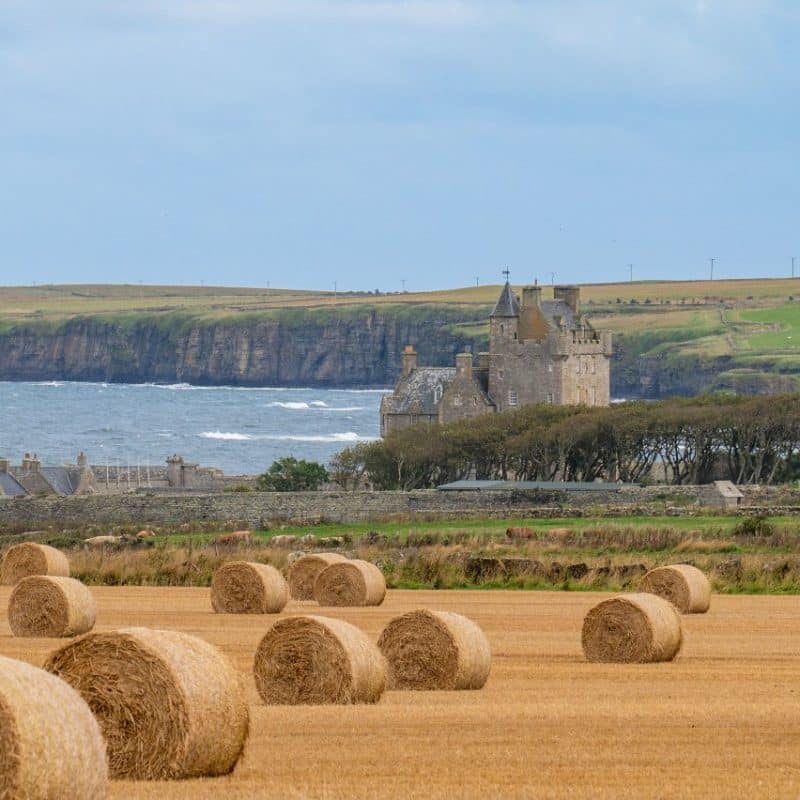 A picture of one of Caithness' Scottish castles on the North Coast 500 with a field of hay bales in front.