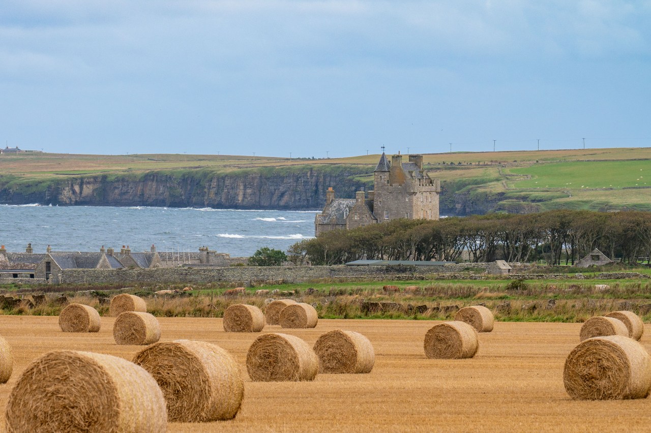 A picture of one of Caithness' Scottish castles on the North Coast 500 with a field of hay bales in front.